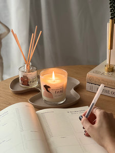 Unexpected hug candle and seek the writer diffusers writing ritual in the 11+1 modern month daily planner